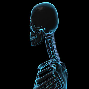 cervical